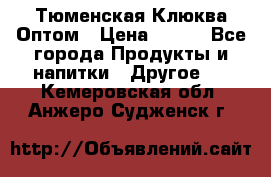 Тюменская Клюква Оптом › Цена ­ 200 - Все города Продукты и напитки » Другое   . Кемеровская обл.,Анжеро-Судженск г.